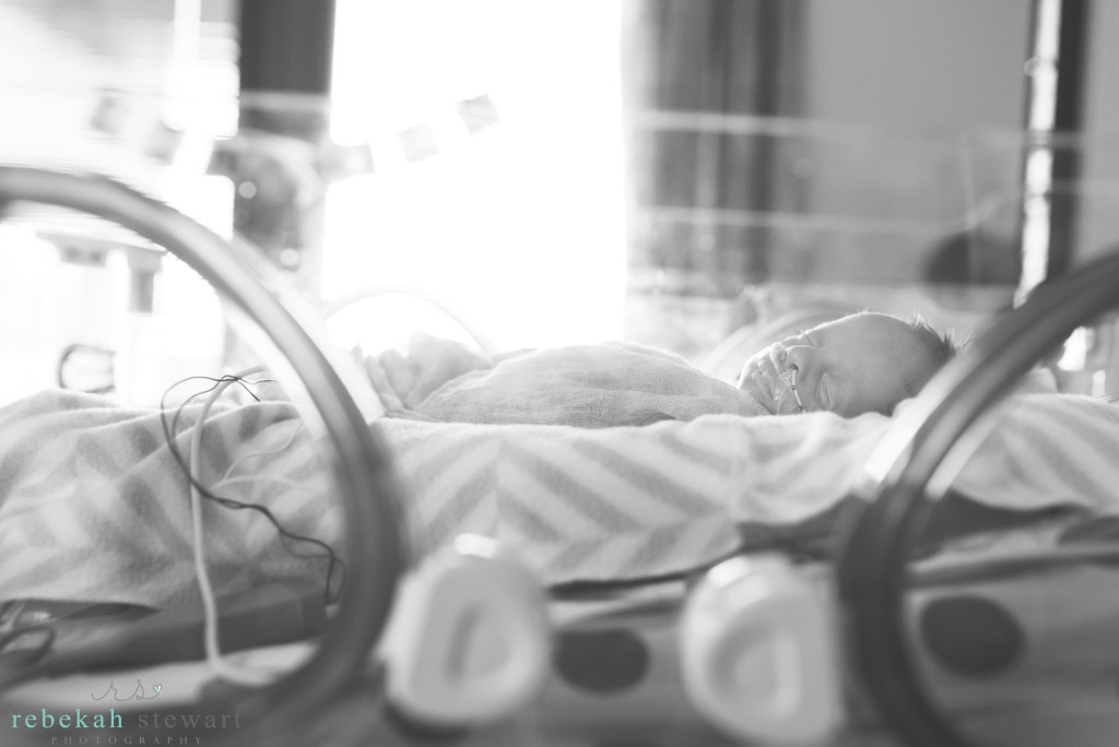 A newborn baby rests in a crib in the NICU