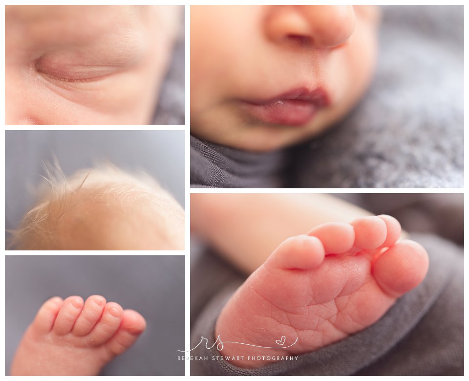 newborn photographer Cedar Rapids