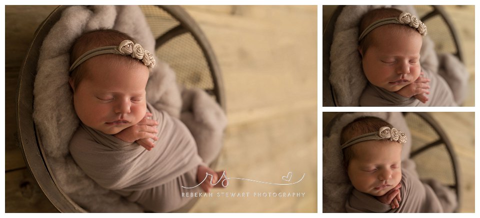 newborn twins - cedar rapids newborn photography