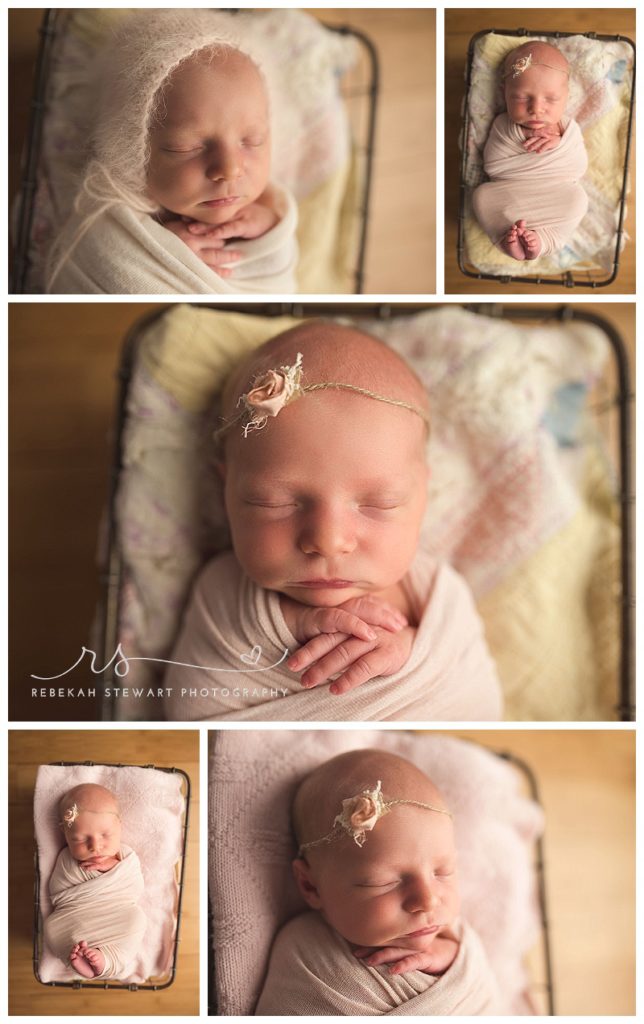 sweet baby girl cedar rapids newborn photos