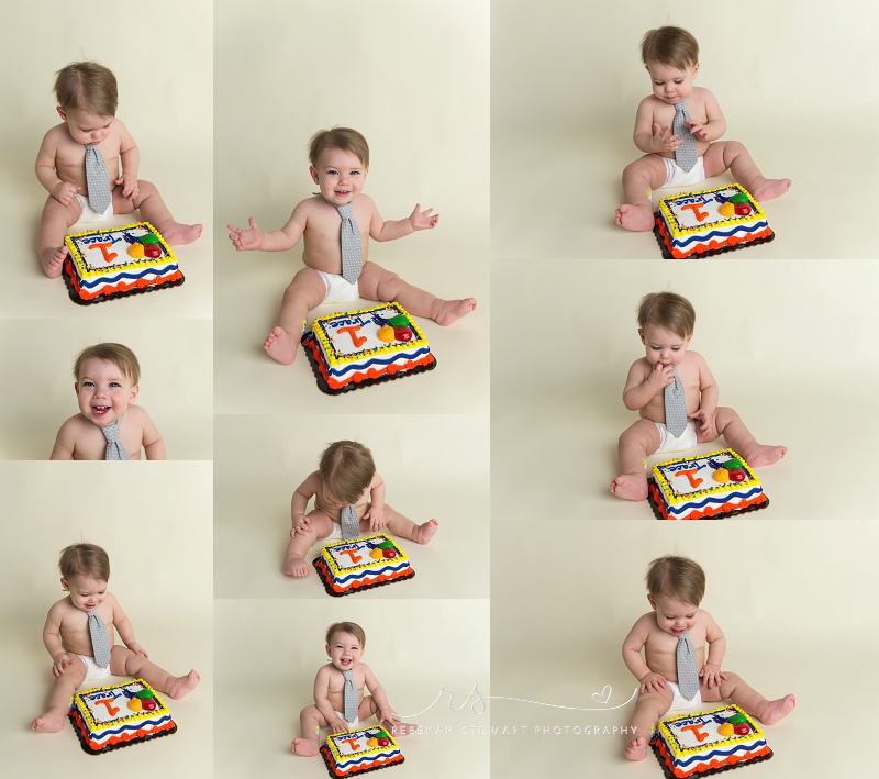 Cedar Rapids baby photographer, cake smash, one year old (1)