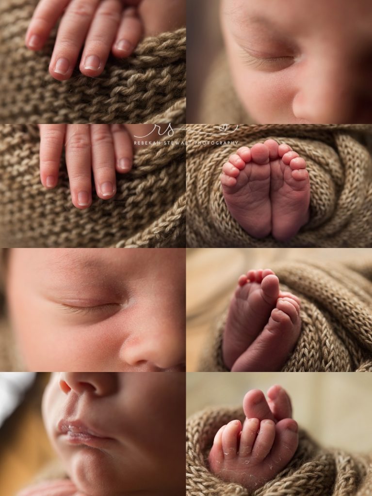 Bright-eyed baby boy - newborn photos Cedar Rapids