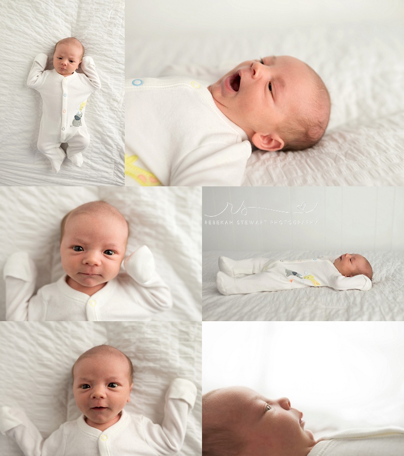 Bright-eyed baby boy - newborn photos Cedar Rapids